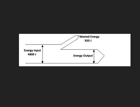 Solved The energy flow diagram pictured below represents a | Chegg.com