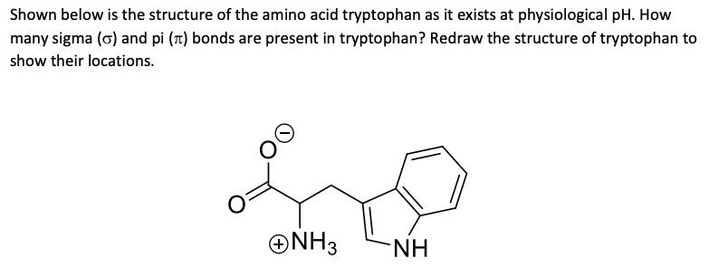 Solved Shown below is the structure of the amino acid | Chegg.com