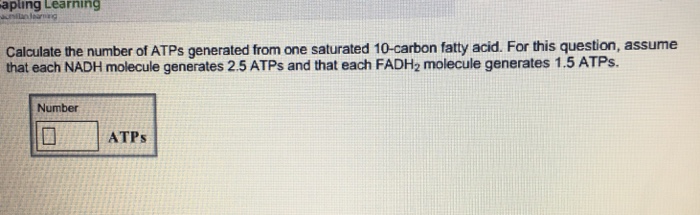 Solved Calculate the number of ATPs generated from one | Chegg.com