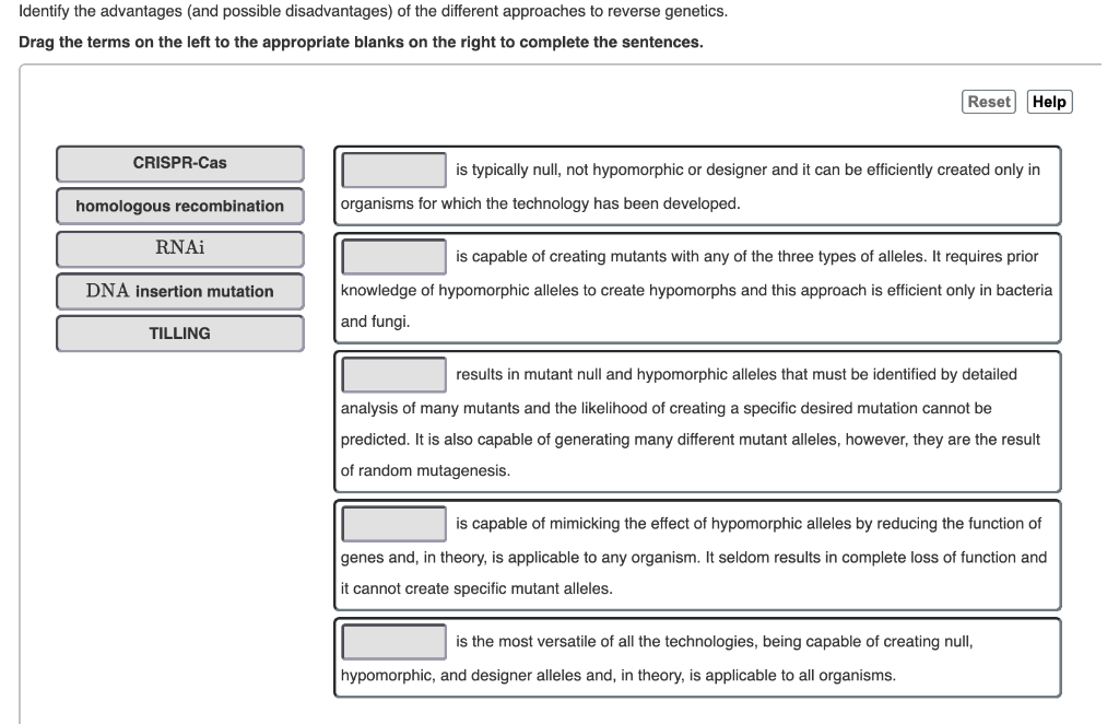 Solved Identify The Advantages (and Possible Disadvantages) | Chegg.com