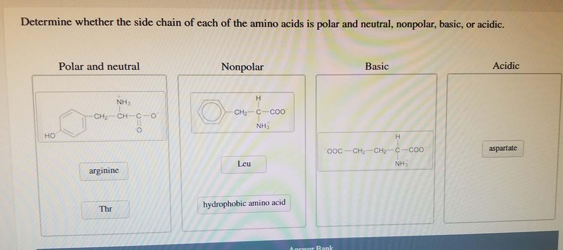 Solved Determine whether the side chain of each of the amino | Chegg.com