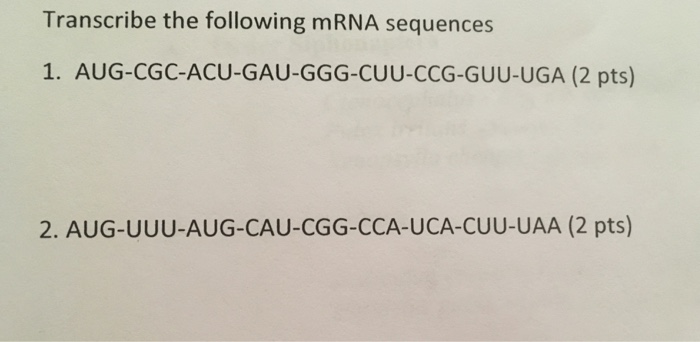 Solved Transcribe the following mRNA sequences 1. | Chegg.com