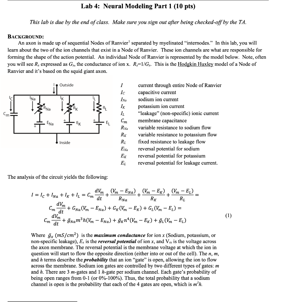 Lab 4: Neural Modeling Part 1 (10 pts) This lab is | Chegg.com