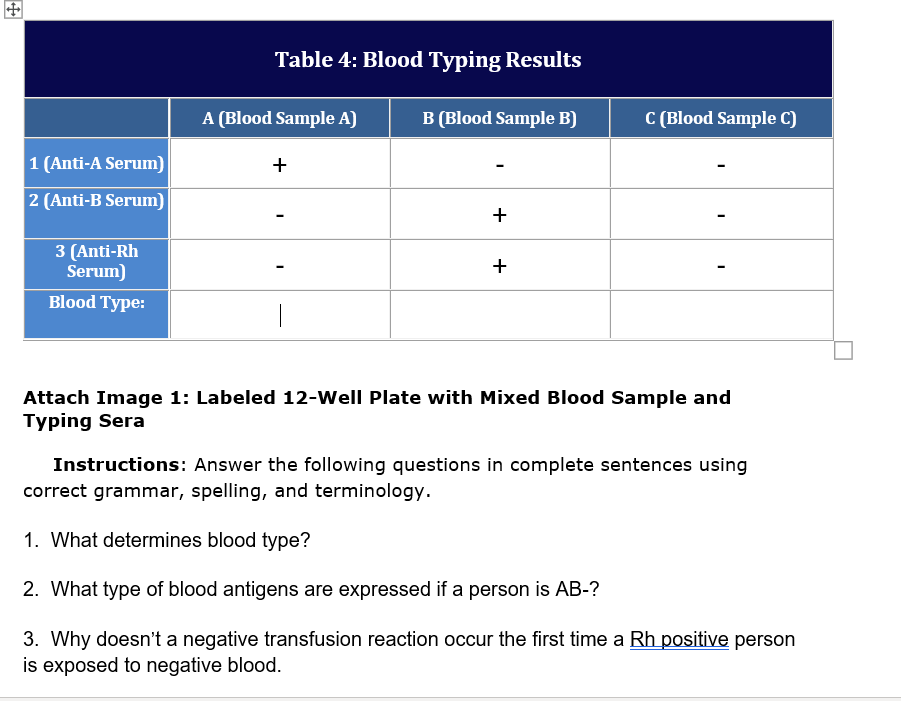 solved-table-4-blood-typing-results-a-blood-sample-a-b-chegg