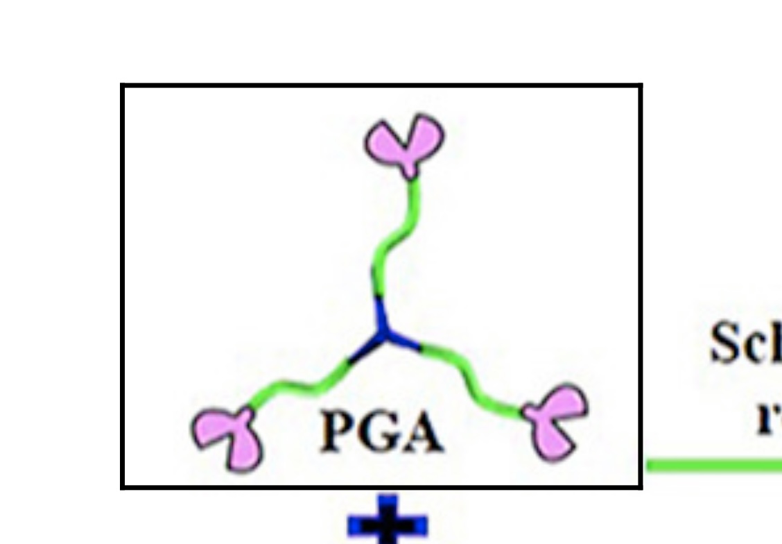 solved-what-is-the-chemical-structure-of-the-poly-chegg