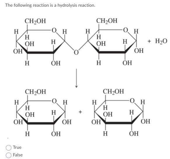 Solved The following reaction is a hydrolysis reaction. H | Chegg.com