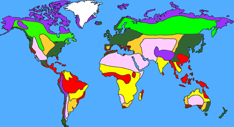 Solved Biomes of The World. Label them | Chegg.com