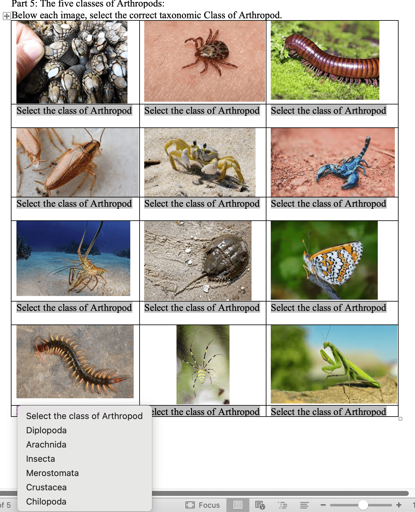 Solved Part 5: The five classes of Arthropods: +Below each | Chegg.com