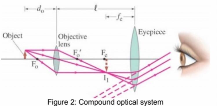 Solved Write an interactive python code for a compound | Chegg.com