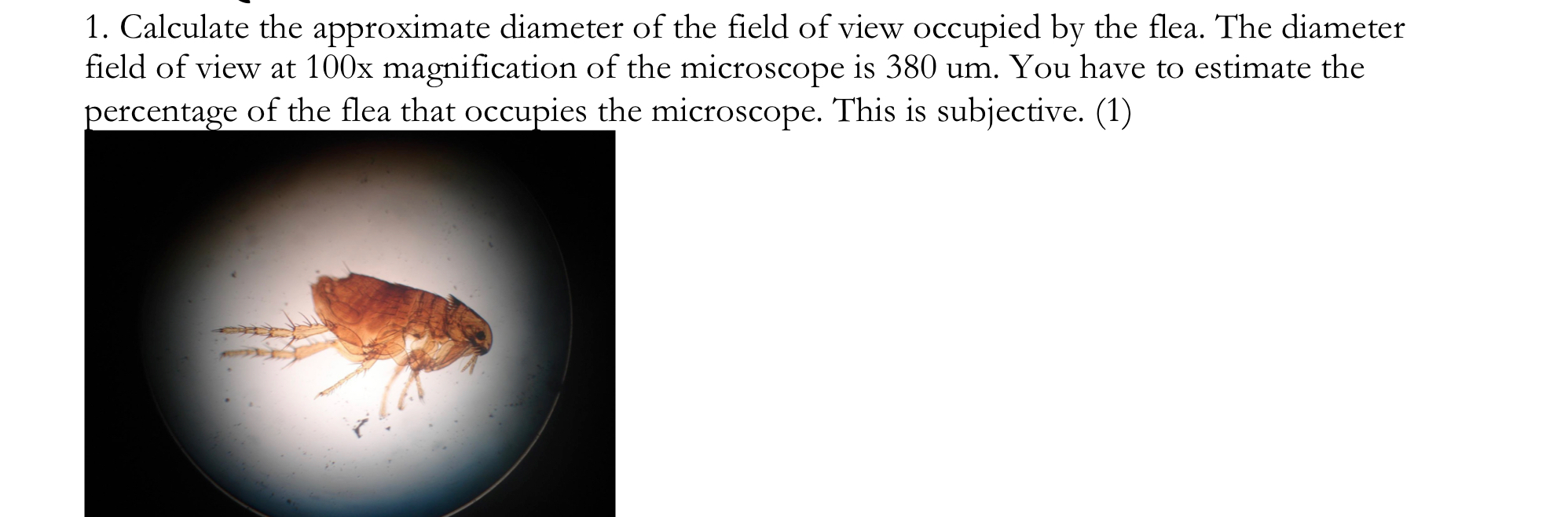 Solved 1. Calculate the approximate diameter of the field of