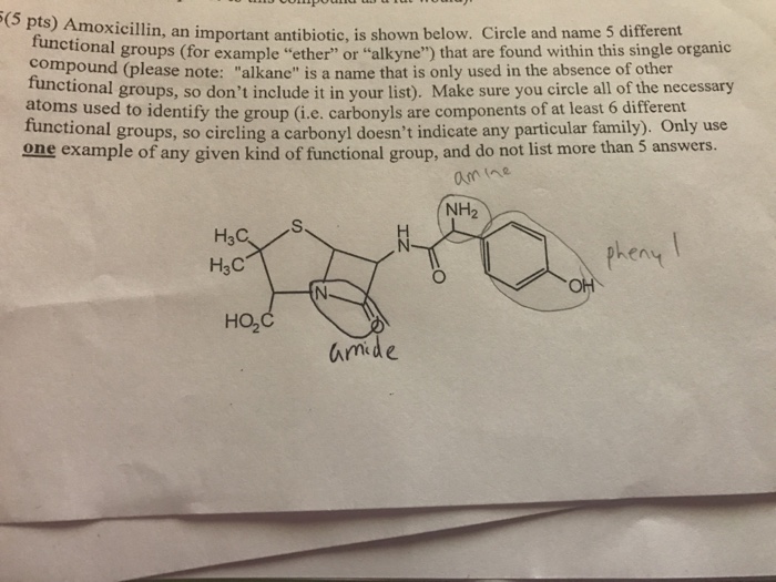 Solved Amoxicillin, an important antibiotic, is shown below.