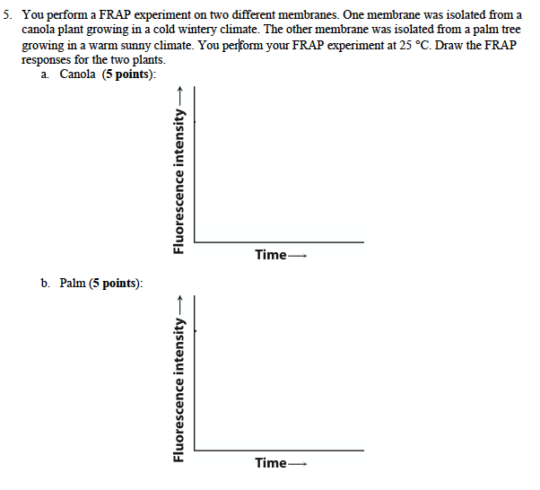 Solved You perform a FRAP experiment on two different | Chegg.com