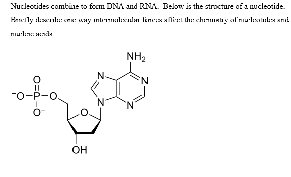 Solved Nucleotides combine to form DNA and RNA. Below is | Chegg.com