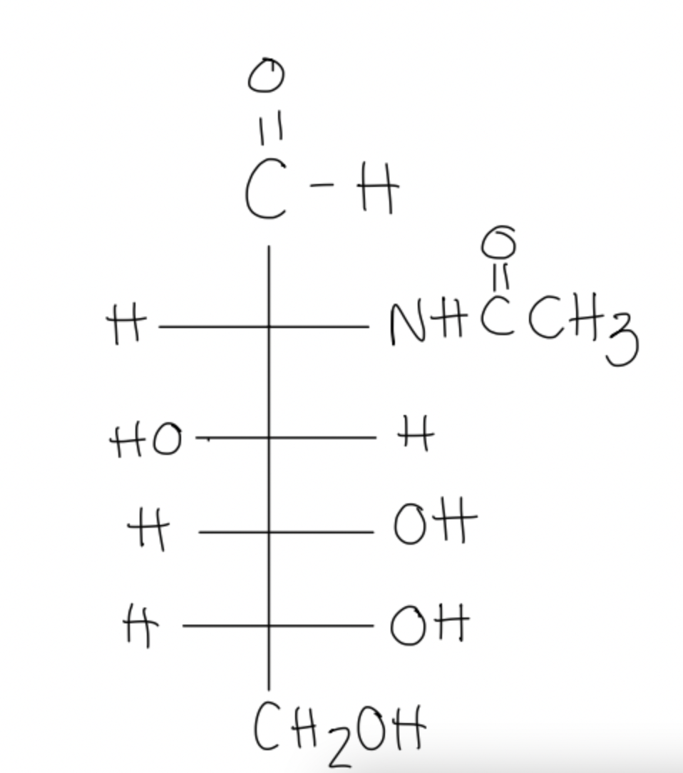 Solved The amino acid that can form Nlinked glycosidic
