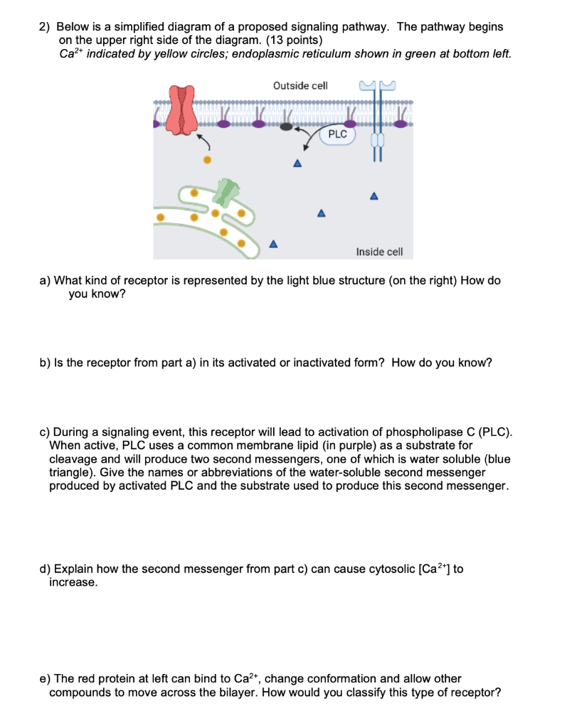Solved 2) Below is a simplified diagram of a proposed | Chegg.com