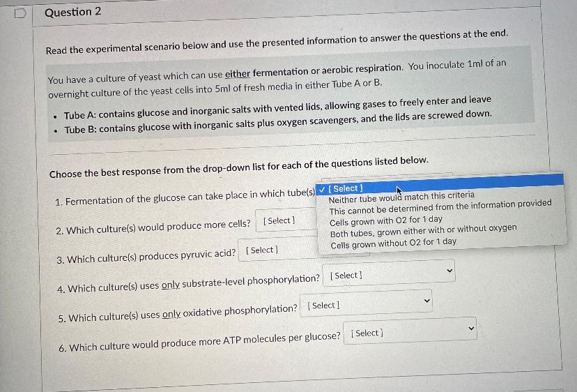 Solved Answer Choices Are The Same For All Of The Answers Chegg Com