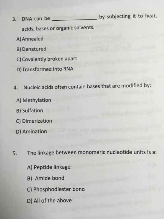 Solved 3. DNA can be by subjecting it to heat, acids, bases | Chegg.com