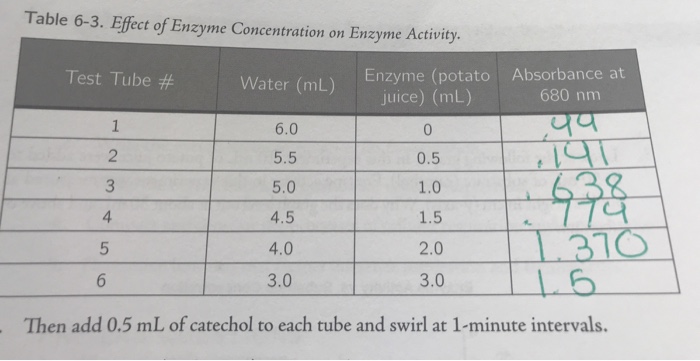 Solved Table 6-3. Effect of Enzyme Concentration on Enzyme | Chegg.com