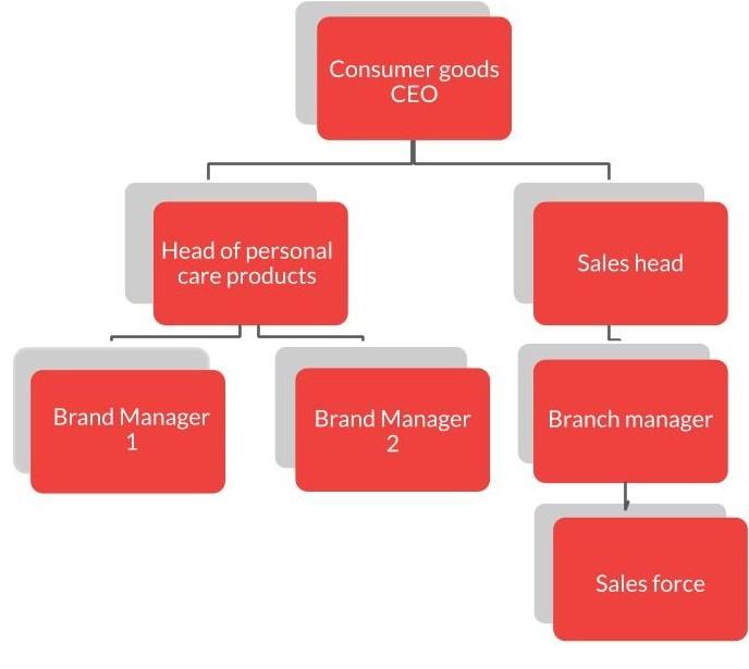 Consumer goods
CEO
Head of personal
care products
Sales head
Brand Manager
1
Brand Manager
2
Branch manager
Sales force