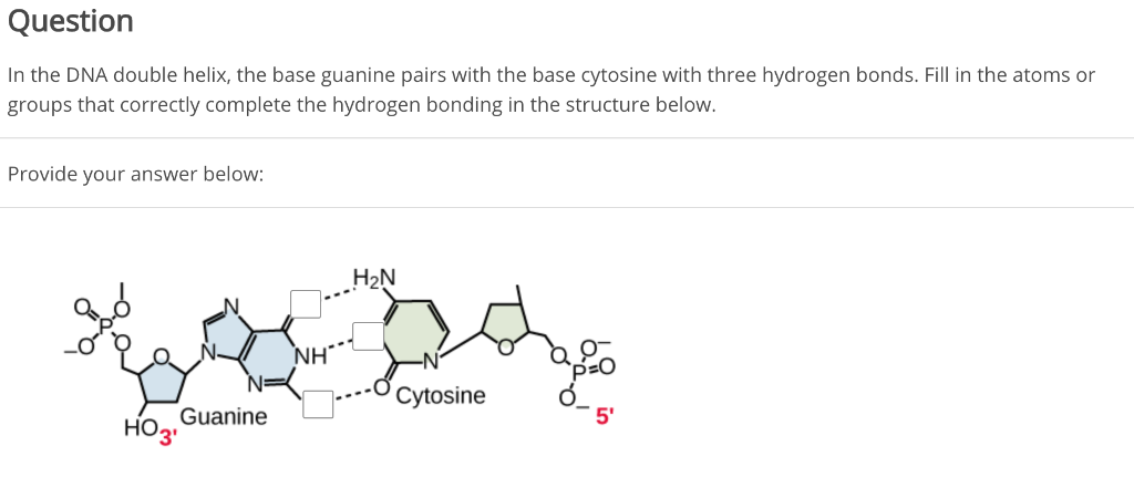 solved-in-the-dna-double-helix-the-base-guanine-pairs-with-chegg