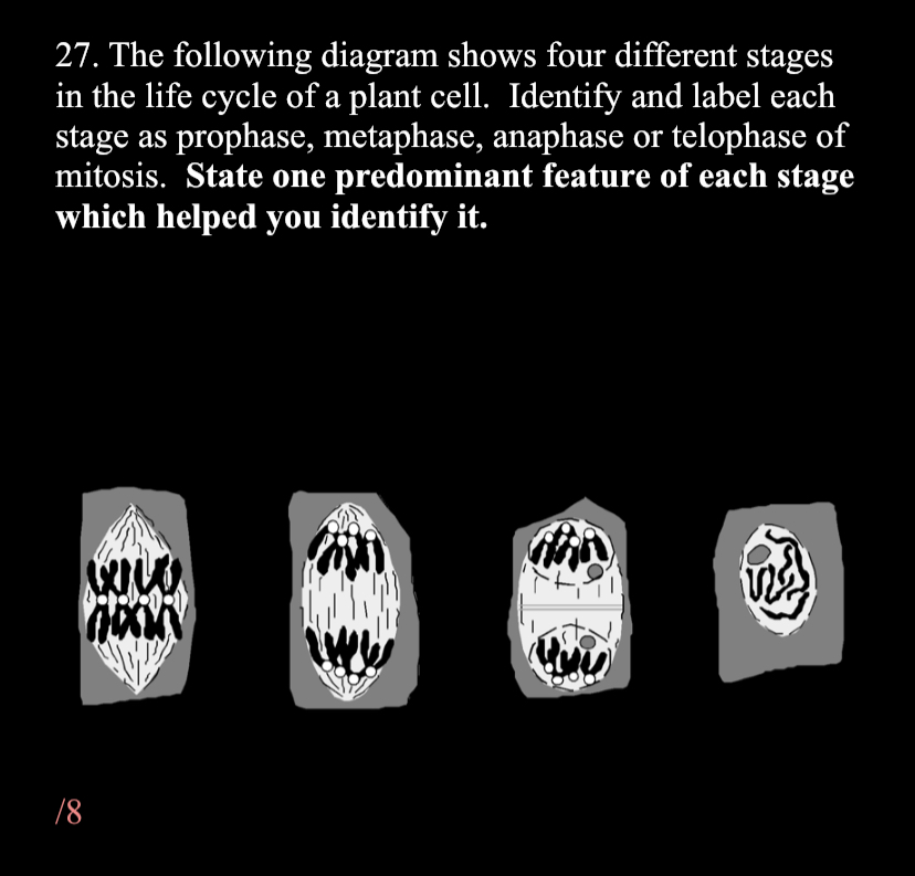 Solved 27. The following diagram shows four different stages | Chegg.com