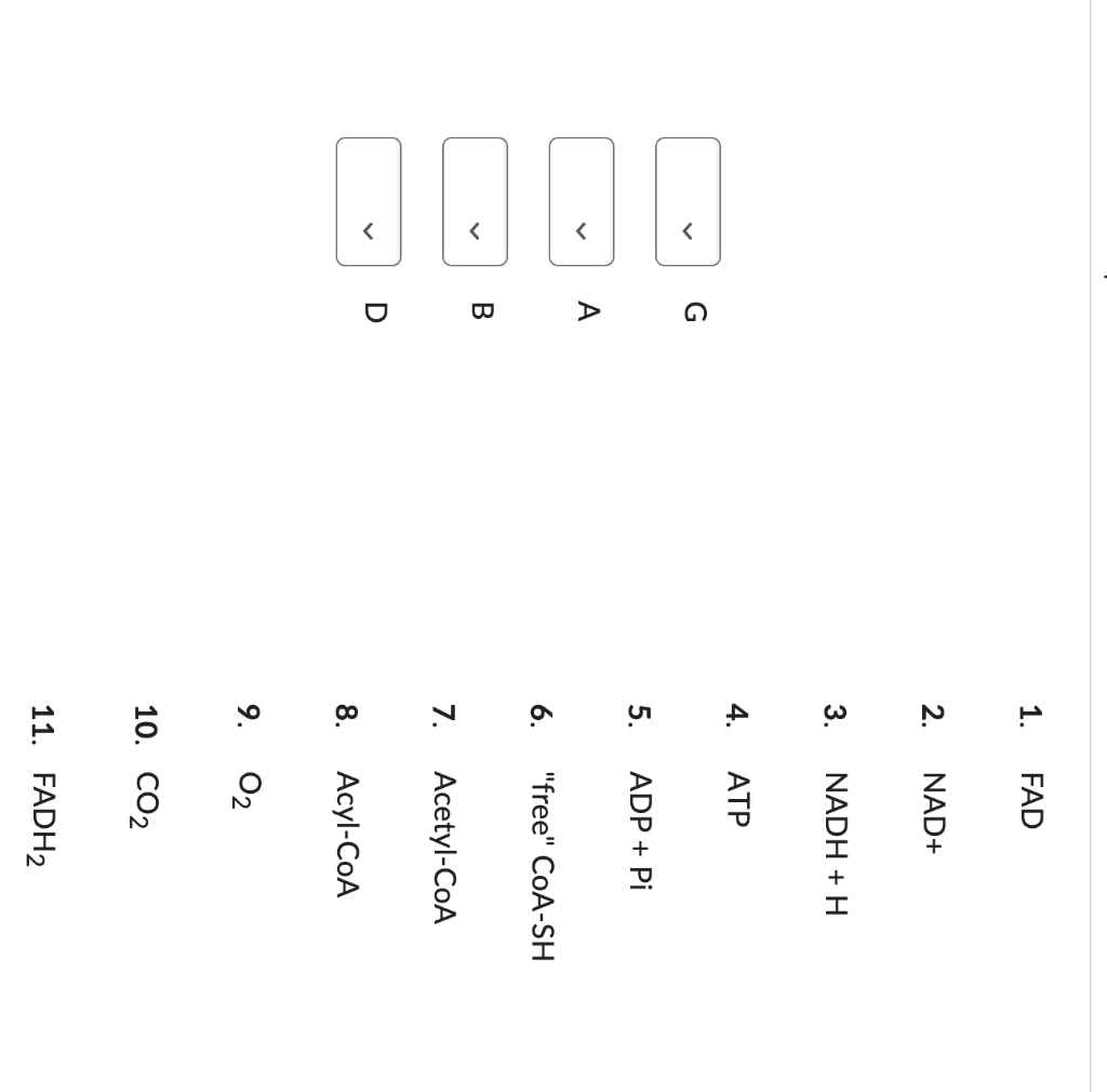 1. FAD
2. NAD+
3. \( \mathrm{NADH}+\mathrm{H} \)
4. ATP
5. \( \mathrm{ADP}+\mathrm{Pi} \)
A
6. free \( \mathrm{CoA}-\mathrm