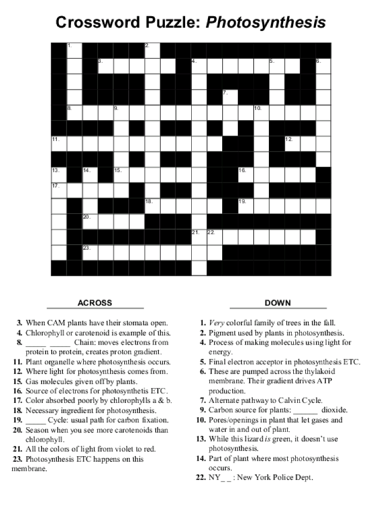 Solved Crossword Puzzle Photosynthesis