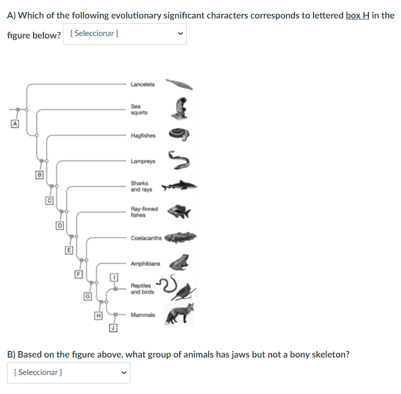 Solved A) Which of the following evolutionary significant | Chegg.com