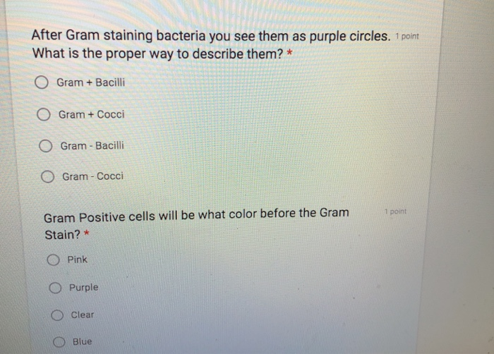 Solved After Gram staining bacteria you see them as purple | Chegg.com