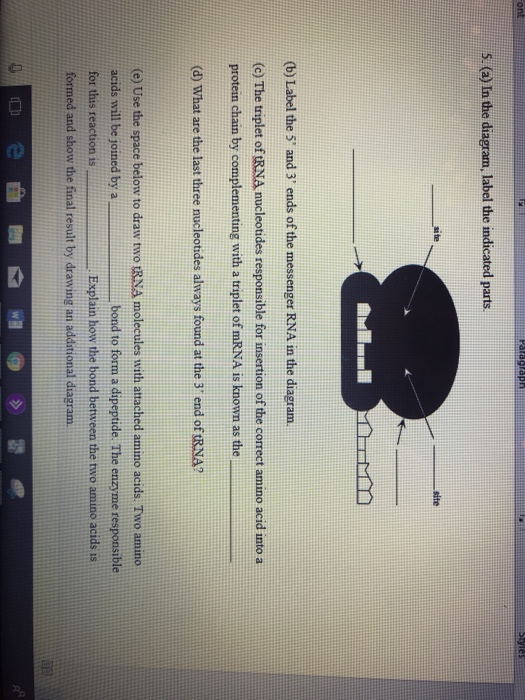 Solved 5. (a) In the diagram, label the indicated parts si | Chegg.com