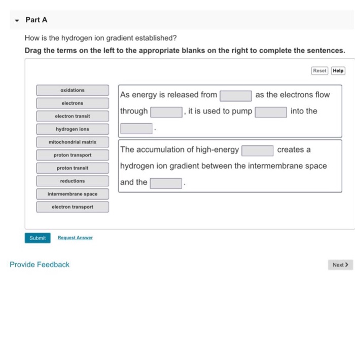 Solved Part A How is the hydrogen ion gradient