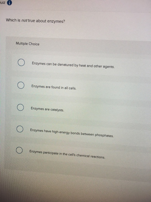 Which Is Not True About Enzymes Solved uiz Which is not true about enzymes? Multiple Choice | Chegg.com