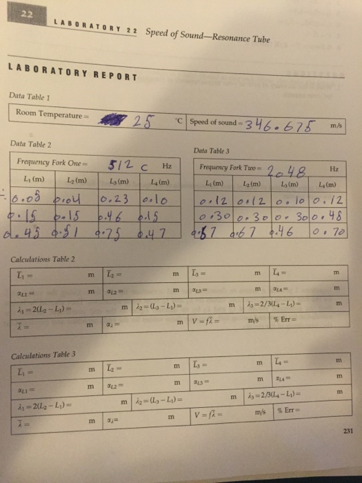 lab report sound and resonance assignment