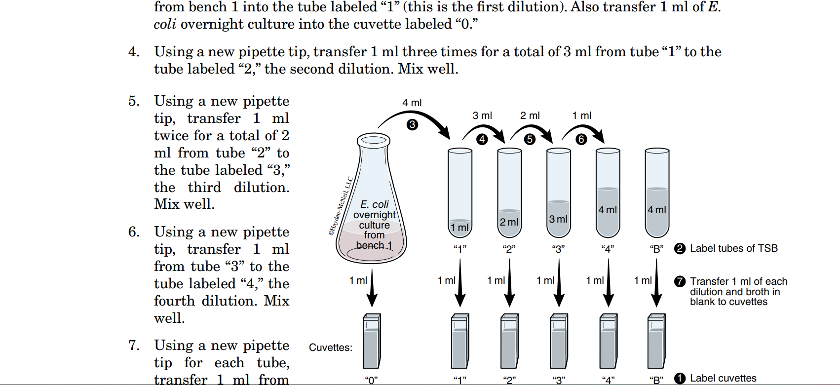 from bench 1 into the tube labeled 1 (this is the first dilution). Also transfer \( 1 \mathrm{ml} \) of \( E \). coli overn