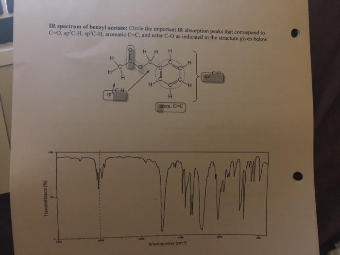 Ir Spectrum Of Benzyl Acetate Key Peaks Interpretations - 7livcsr