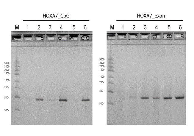 Solved This is the photograph after the experiment | Chegg.com