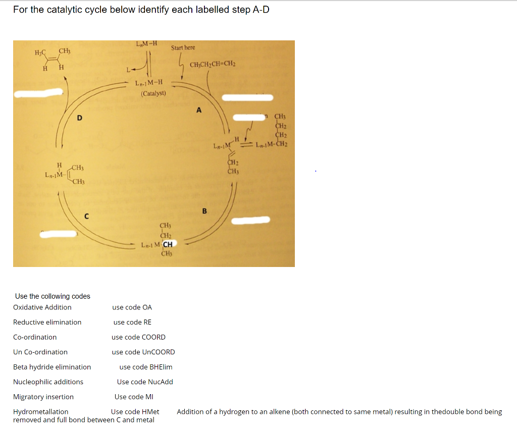 Solved For The Catalytic Cycle Below Identify Each Labelled | Chegg.com