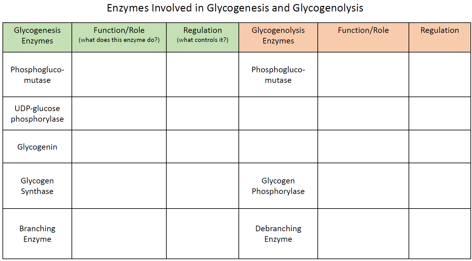 Enzymes Involved in Glycogenesis and Glycogenolysis