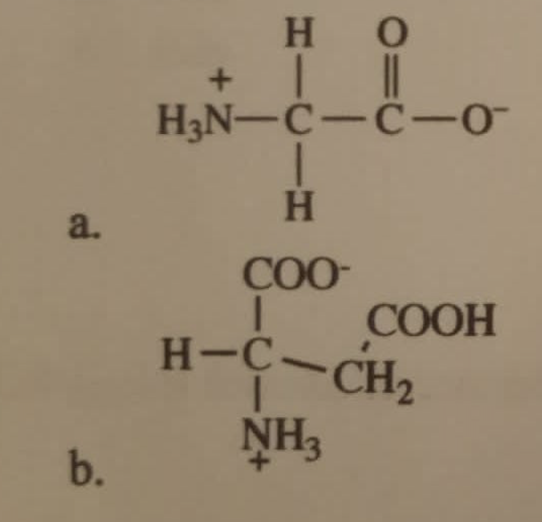 Solved Draw The Structure Of The Conjugate Base Of Each Of | Chegg.com