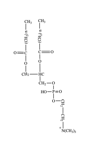 Solved See below for all question Please help and provide Chegg com