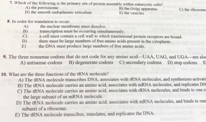 Solved Which of the following is the primary site of protein | Chegg.com