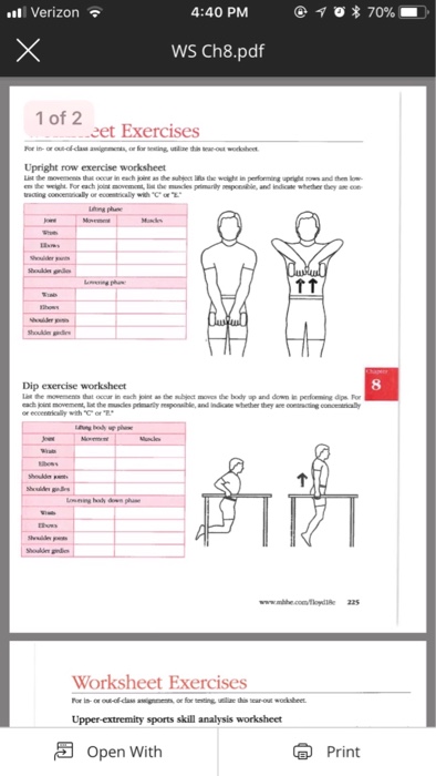 Anatomy And Physiology Archive | November 18, 2017 | Chegg.com