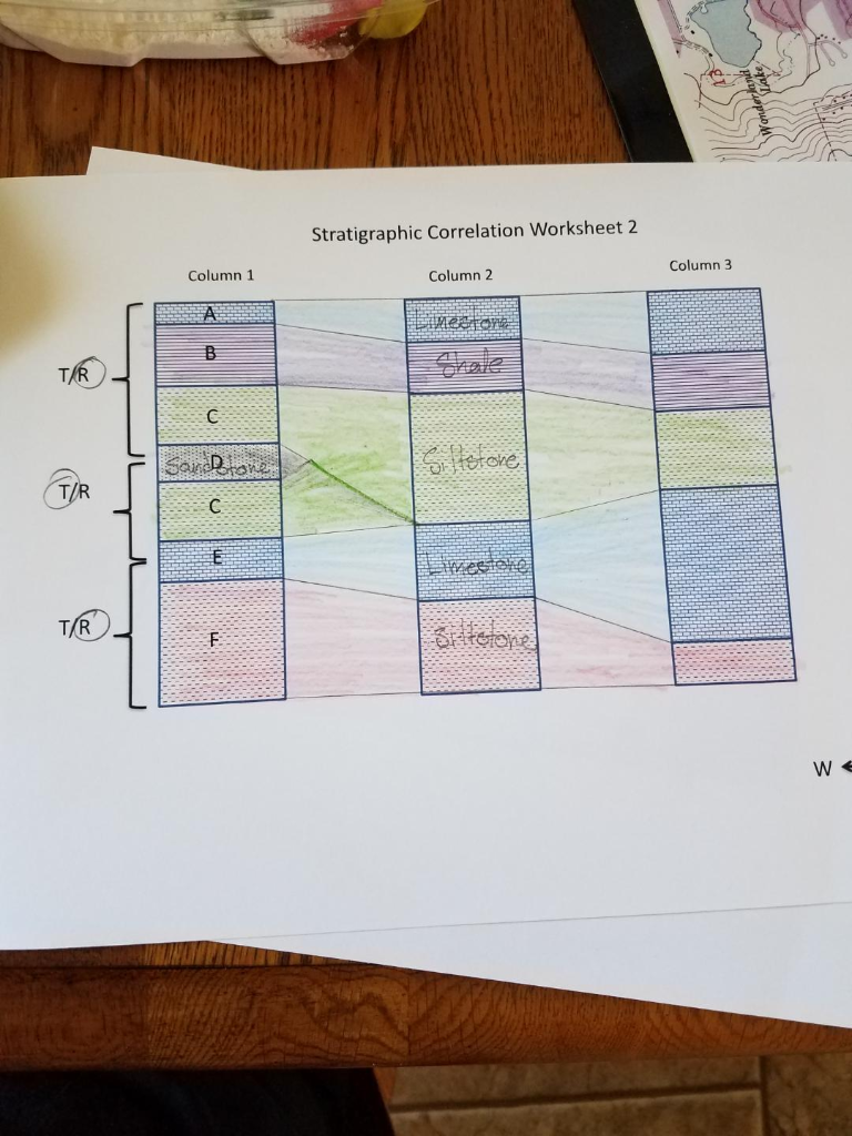 Solved For Stratigraphic Correlation Worksheet 2, orient