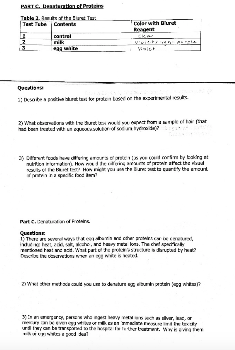 PART C. Denaturation of Proteins Table 2. Results of