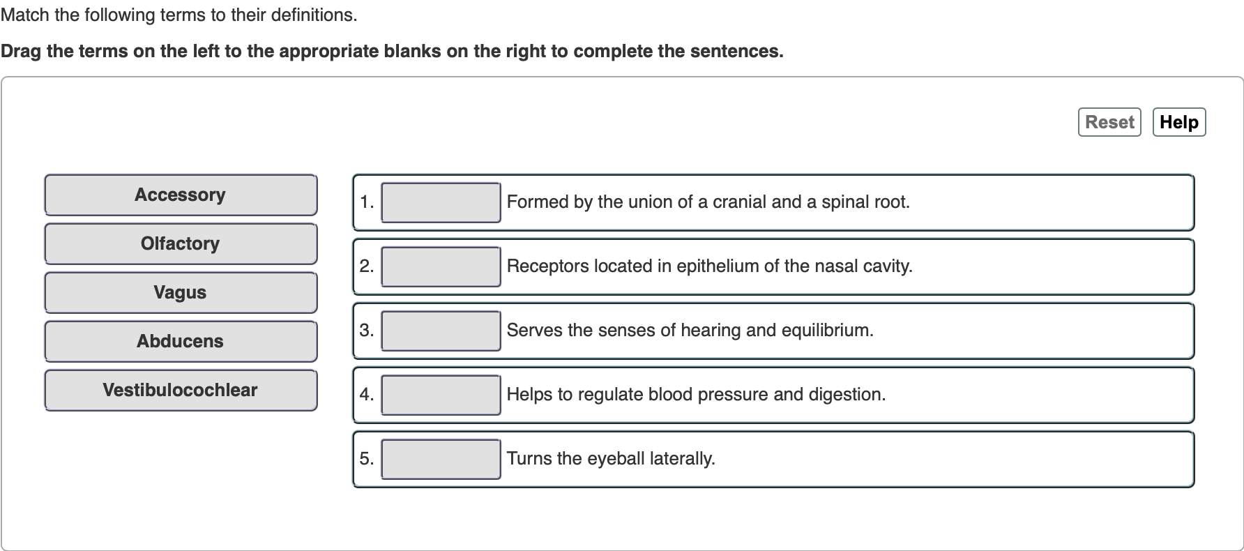 Solved Match the following terms to their definitions. Drag