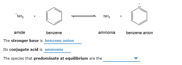 Solved Nh3 Nh3 Amide Benzene Ammonia Benzene Anion The