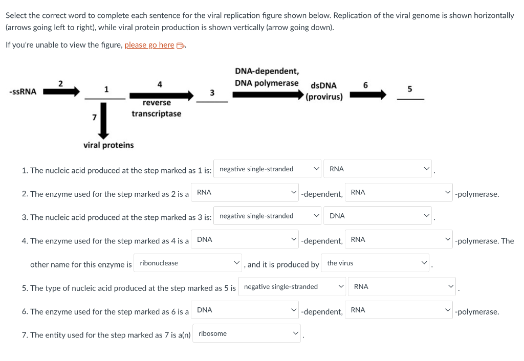 solved-select-the-correct-word-to-complete-each-sentence-for-chegg