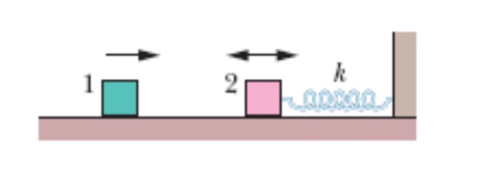 Solved In the figure, block 2 of mass 1.60 kg oscillates on | Chegg.com