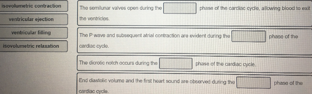 Solved isovolumetric contraction The semilunar valves open | Chegg.com