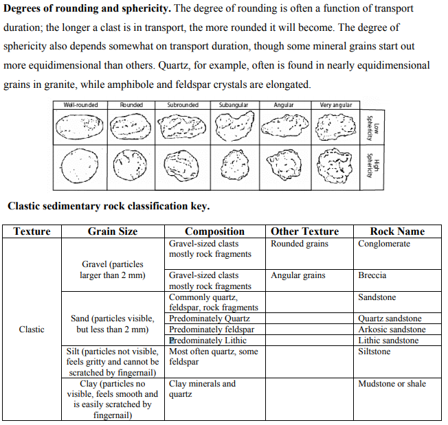 Solved Sample Sorting Rock Name Clastic, Chemical or Organic